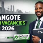 Dangote job