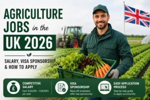Farm worker harvesting fresh vegetables in a UK field for agriculture jobs in the UK 2026 with visa sponsorship opportunities